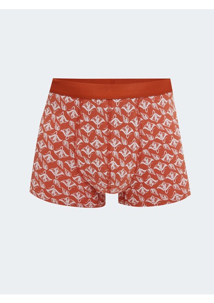 Yeni Sezon Standart Kalıp Pamuklu Esnek Erkek Boxer 3'lü modelleri