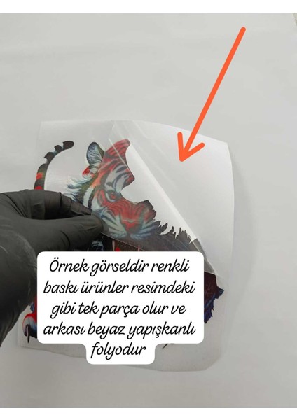Arabada Bebek Var 12X15 cm Baskes 1 Adet Renkli Baskı Sticker, Bisiklet, Karavan,otomobil,çocuk fırsatları