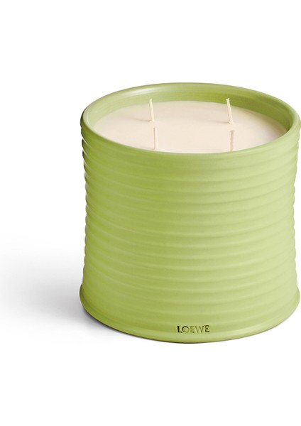 Cucumber Large 2120 gr Mum