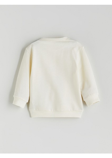 Yeni Sezon Baskılı Erkek Bebek Sweatshirt ve Eşofman Alt 2'li fırsatları