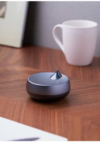 Romino Metalik Gri Taşınabilir Susuz Aroma Difüzörü
