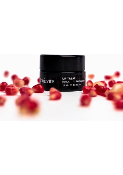 Lip Treat Vegan Lip Balm Dudak Kremi 10 ml fırsatları