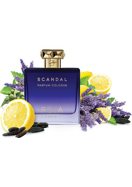 Scandal Pour Homme Parfum Cologne 100ML fiyatları