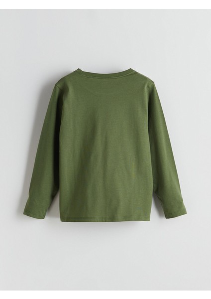 Yeni Sezon Bisiklet Yaka Dinozor Baskılı Erkek Çocuk Pijama Takımı fırsatları