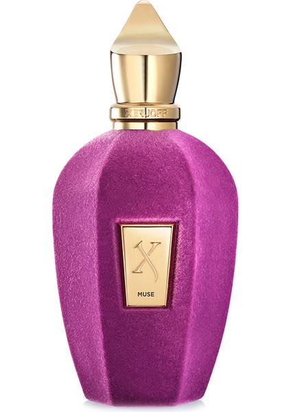 V Muse 100 ml Unisex Edp Parfüm