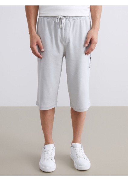 Yeni Sezon Standart Kalıp Erkek Bermuda Şort fiyatları