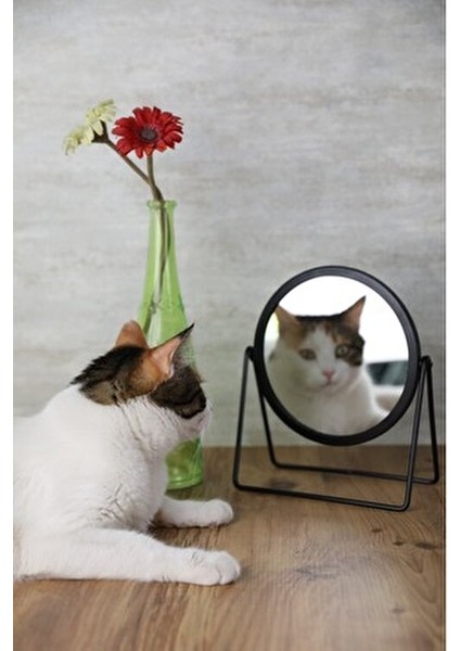 Siyah Metal Makyaj Aynası Ayarlanabilir Masa Üstü Metal Ayna fırsatları