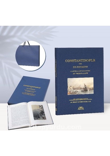 Constantinople And Its Environs