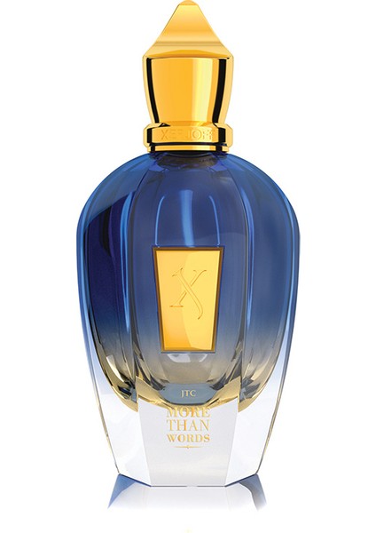 Jtc More Than Words Edp 100 ml Unisex Parfüm