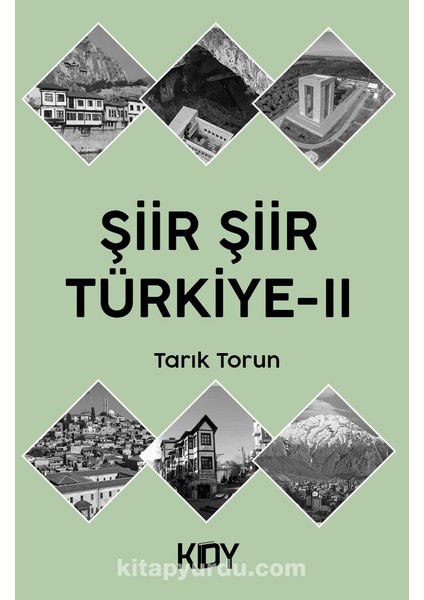 Şiir Şiir Türkiye 2
