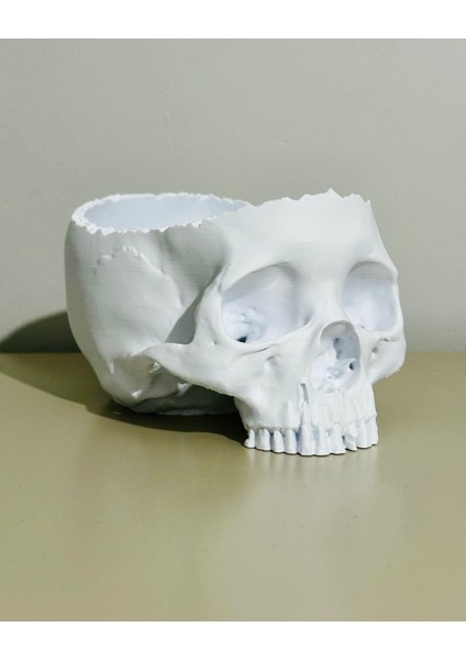 Gerçekçi 3D Baskı Kafatası-Helloween/cadılar Bayramı Konsepti-Şekerlik/saksı/masa Dekoru-Beyaz