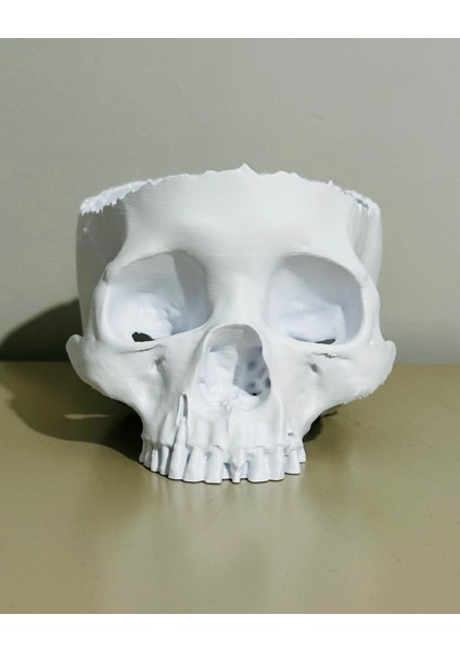 Gerçekçi 3D Baskı Kafatası-Helloween/cadılar Bayramı Konsepti-Şekerlik/saksı/masa Dekoru-Beyaz modelleri