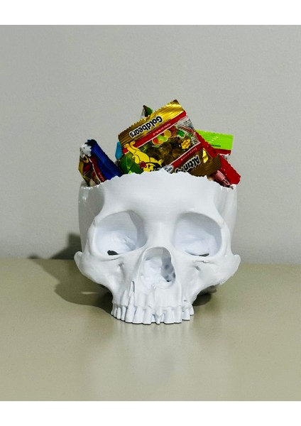 Gerçekçi 3D Baskı Kafatası-Helloween/cadılar Bayramı Konsepti-Şekerlik/saksı/masa Dekoru-Beyaz fırsatları