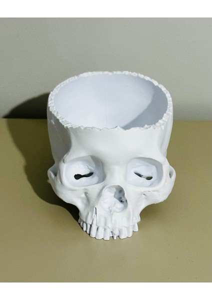 Gerçekçi 3D Baskı Kafatası-Helloween/cadılar Bayramı Konsepti-Şekerlik/saksı/masa Dekoru-Beyaz indirimleri