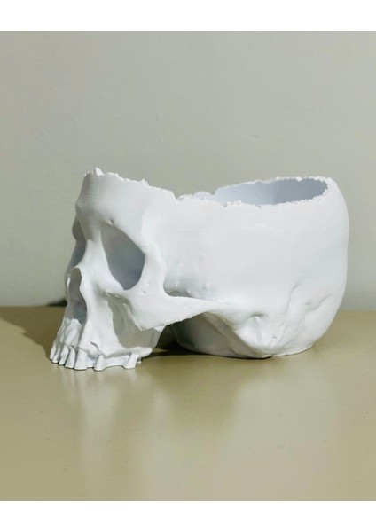 Gerçekçi 3D Baskı Kafatası-Helloween/cadılar Bayramı Konsepti-Şekerlik/saksı/masa Dekoru-Beyaz