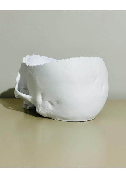 Gerçekçi 3D Baskı Kafatası-Helloween/cadılar Bayramı Konsepti-Şekerlik/saksı/masa Dekoru-Beyaz