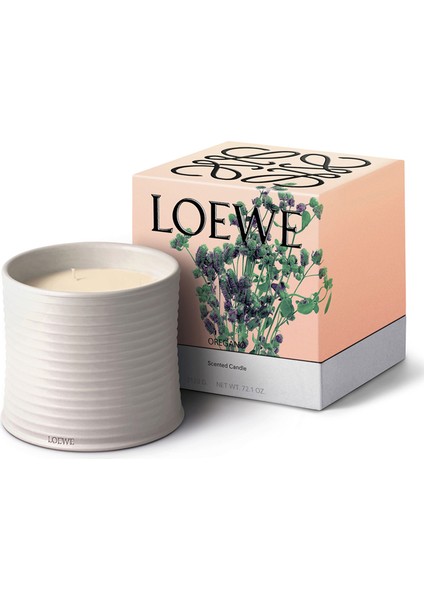 Oregano Large 2120 gr Mum fiyatları