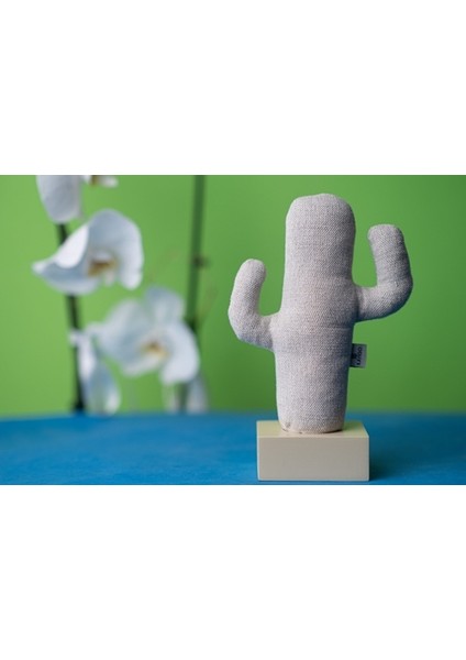 Kayigo Woody Krem Üçlü Ofis Seti - Bej Cactus indirimleri