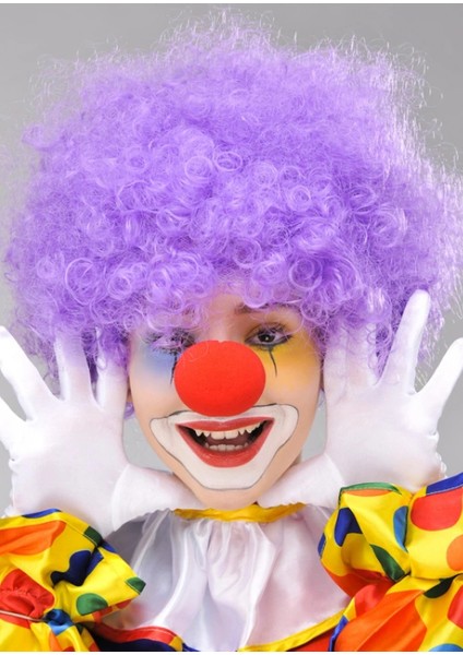 Mor Renk Kıvırcık Afro Bonus Peruk Takma Saç ve Kırmızı Burun Seti (4887) fiyatları