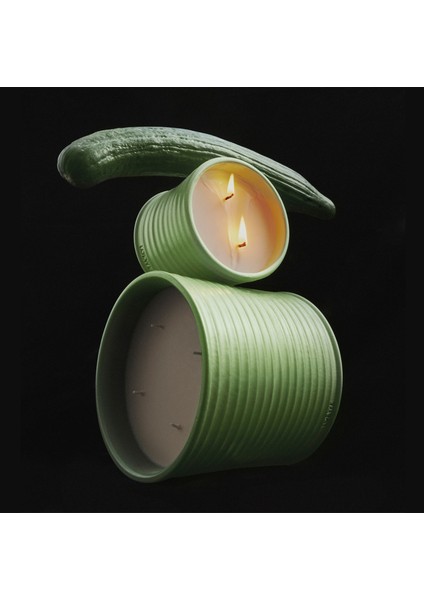 Cucumber Medium 610 gr Mum modelleri