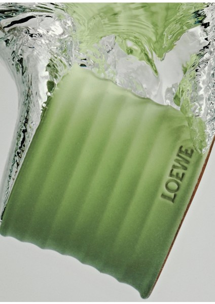Cucumber Medium 610 gr Mum indirimleri