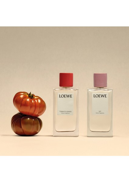 Tomato Leaves Home Fragrance 150 ml fırsatları