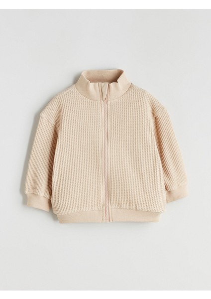 Yeni Sezon Dik Yaka Erkek Bebek Hırka