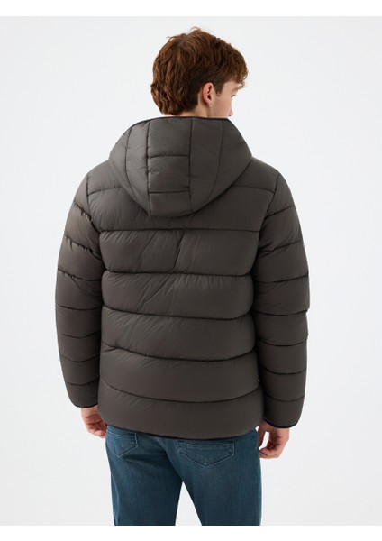 Regular Fit Erkek Mont modelleri