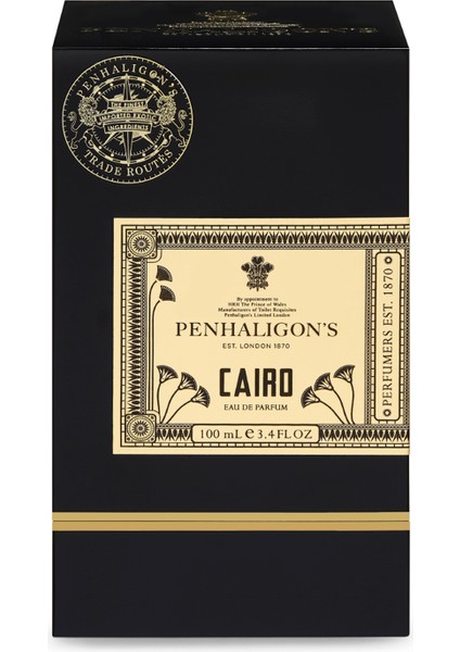 Cairo Edp 100 ml Unisex Perfume modelleri