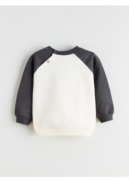 Yeni Sezon Bisiklet Yaka Paw Patrol Baskılı Erkek Bebek Sweatshirt ve Eşofman Alt modelleri