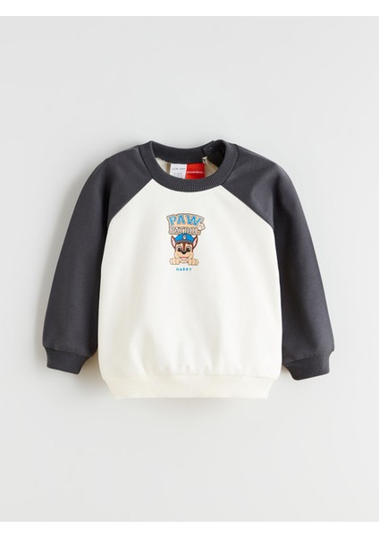 Yeni Sezon Bisiklet Yaka Paw Patrol Baskılı Erkek Bebek Sweatshirt ve Eşofman Alt fiyatları