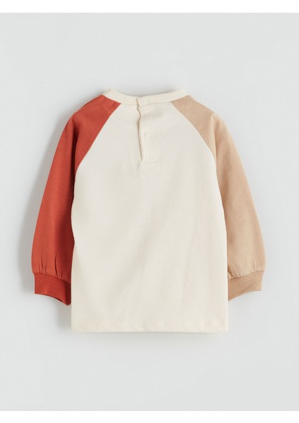 Yeni Sezon Baskılı Erkek Bebek Sweatshirt ve Eşofman Alt 2'li fırsatları