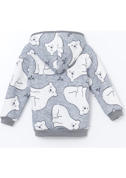 Yeni Sezon Kapüşonlu Baskılı Erkek Bebek Hırka fiyatları