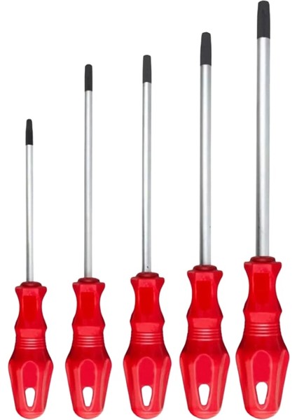 C45 Torx Uçlu Tornavida Takımı 5 Parça modelleri