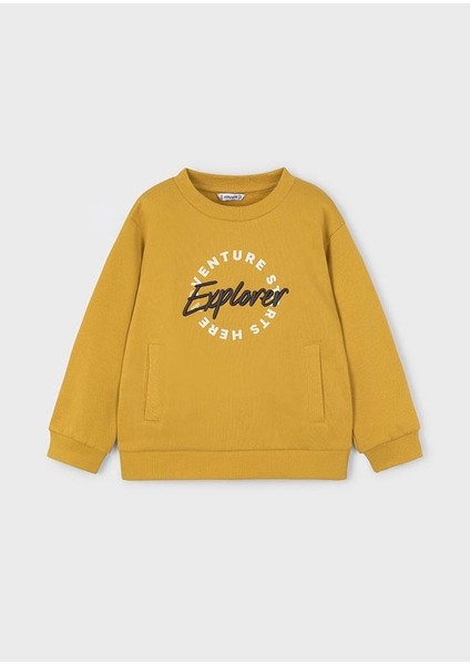 Erkek Çocuk Sweatshirt 4/10 Yaş 4408