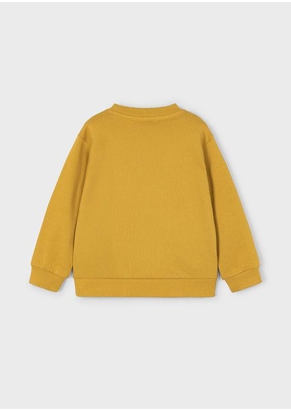 Erkek Çocuk Sweatshirt 4/10 Yaş 4408 fiyatları