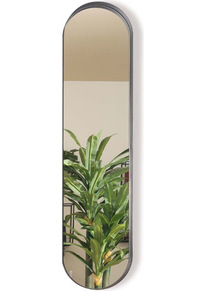 Siyah Selamlık Ayna