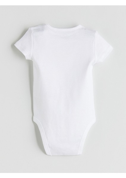 Yeni Sezon Basic Kız Bebek Çıtçıtlı Body 3'lü indirimleri