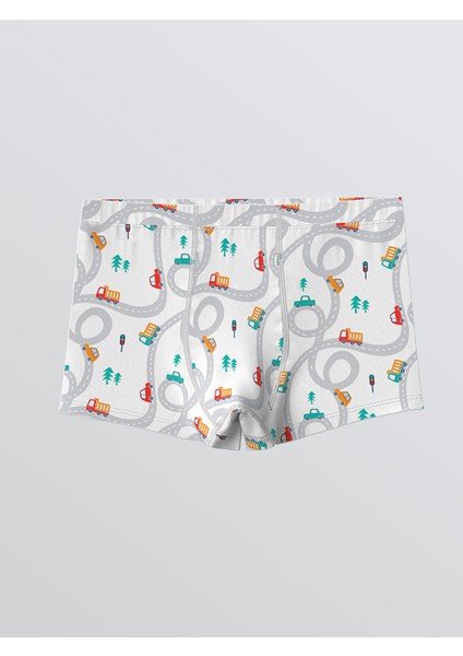 Yeni Sezon Baskılı Pamuklu Erkek Çocuk Boxer 3'lü modelleri