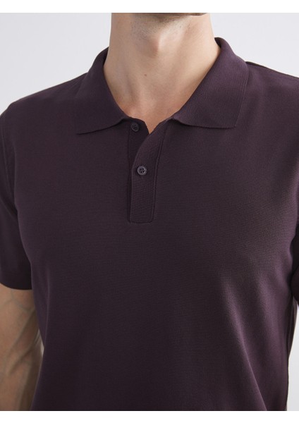 Yeni Sezon Polo Yaka Erkek Triko Kazak modelleri