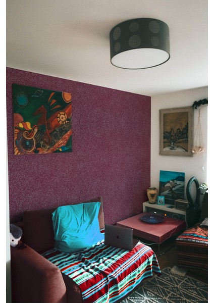 2KG 10M2 Canlı Sıva | Ipek Sıva | Dekoratif Sıva | Eco-35 Bordo