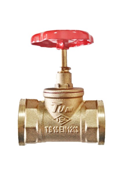 1" Şiber Vana-Stop VANA-DN25-GENTA