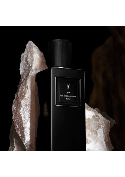 Le Vestiaire Des Parfums Rue De Bellechasse modelleri