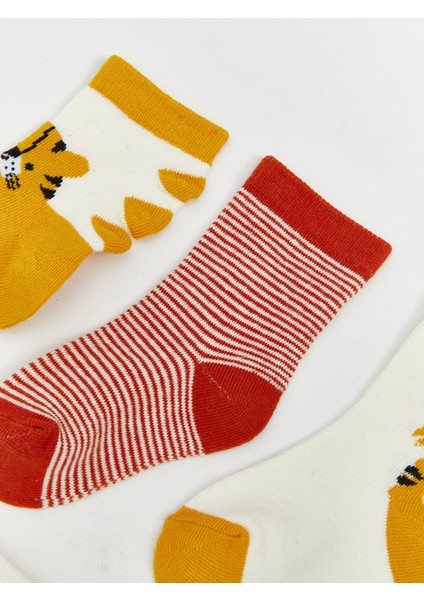 Yeni Sezon Baskılı Erkek Bebek Soket Çorap 5'li modelleri