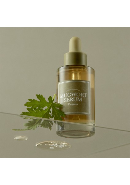 Mugwort Serum Yoğun Hidrasyon Verici Donuk Görünüm Önleyici Cilt Serumu 30 ml modelleri