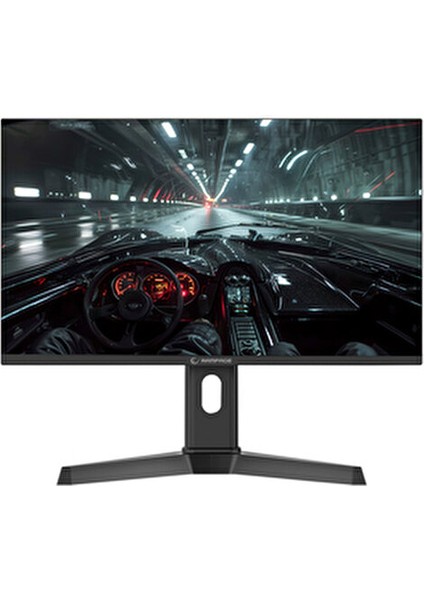 Rage RG25R300 25'' 300Hz 1ms Fast IPS Rgb Freesync Fhd Pc Flat Oyuncu Monitörü