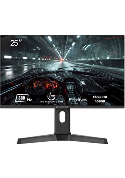Rage RG25R300 25'' 300Hz 1ms Fast IPS Rgb Freesync Fhd Pc Flat Oyuncu Monitörü modelleri