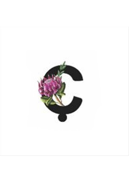 Allzey Harf Figürlü Kaktüs Sukulent Saksısı-Ç