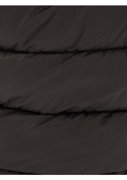 Regular Fit Erkek Mont