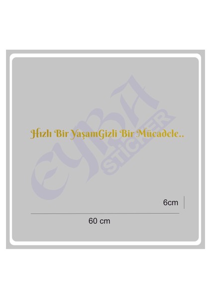 Hızlı Bir Yaşam Gizli Bir Mücadele 60X6 cm Araç Yazı Sticker Traktör Kamyon Araba